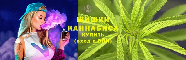 прущие грибы Белоозёрский