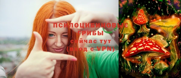 прущие крисы Беломорск